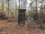 259 Forest Lake Road - Photo 26