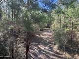 259 Forest Lake Road - Photo 29