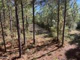 259 Forest Lake Road - Photo 30