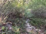 259 Forest Lake Road - Photo 31