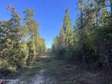 259 Forest Lake Road - Photo 36