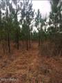 259 Forest Lake Road - Photo 43
