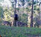 259 Forest Lake Road - Photo 45