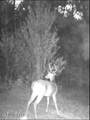 259 Forest Lake Road - Photo 54