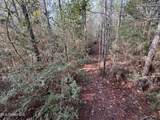 259 Forest Lake Road - Photo 56