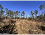  Poplar Springs Road - Photo 11
