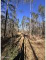  Poplar Springs Road - Photo 12