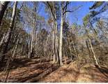  Poplar Springs Road - Photo 13