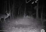  Crooked Creek Rd - Photo 15