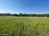 12239 Old Byhalia Road - Photo 13