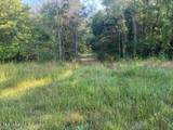 12239 Old Byhalia Road - Photo 14