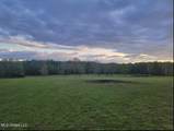 12239 Old Byhalia Road - Photo 15