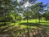  Joby Magee Road - Photo 11