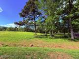  Joby Magee Road - Photo 4
