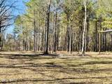 104 Mamie Mangum Road - Photo 11