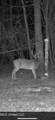 104 Mamie Mangum Road - Photo 2