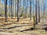 104 Mamie Mangum Road - Photo 3