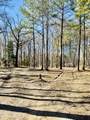 104 Mamie Mangum Road - Photo 6