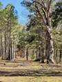 104 Mamie Mangum Road - Photo 8