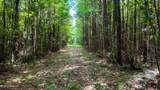  Mississippi 570 - Photo 3