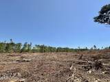 6 Cut Off Road - Photo 12