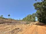 6 Cut Off Road - Photo 13