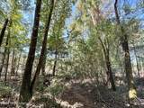 6 Cut Off Road - Photo 14