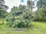 14912 Ms 35 - Photo 28