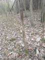  U.S. Highway 51 - Photo 10