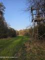  U.S. Highway 51 - Photo 13