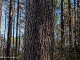  County Road 2414 - Photo 22
