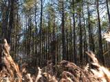  County Road 2414 - Photo 25