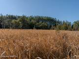  County Road 2414 - Photo 30