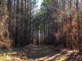  County Road 2414 - Photo 37