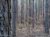  County Road 2414 - Photo 39