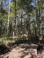 229 Barnes Road - Photo 35