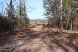 1270 Hilt Fornea Road - Photo 11