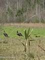  County Road 8 - Photo 29