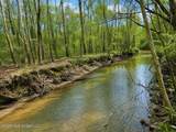 157 Eulogy Road - Photo 4