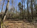 29 Sontag-Nola Road - Photo 29