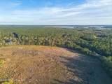 14.96 Acres Arcadia Farm Road - Photo 10
