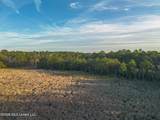 14.96 Acres Arcadia Farm Road - Photo 11