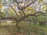 14.96 Acres Arcadia Farm Road - Photo 4