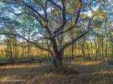 14.96 Acres Arcadia Farm Road - Photo 5