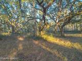 14.96 Acres Arcadia Farm Road - Photo 6