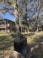 807 Del Sud Drive - Photo 49