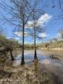  Mississippi 35 Highway - Photo 10