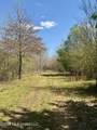  Mississippi 35 Highway - Photo 18