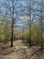  Mississippi 35 Highway - Photo 19