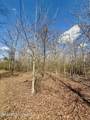  Mississippi 35 Highway - Photo 22